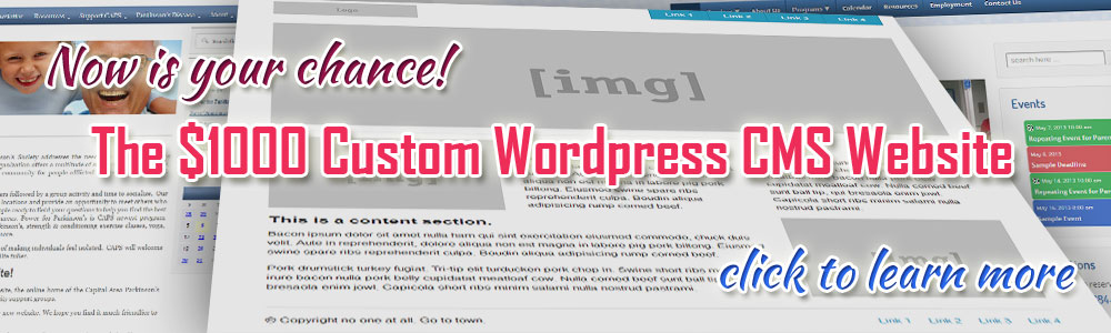 $1000 Custom Wordpress Website